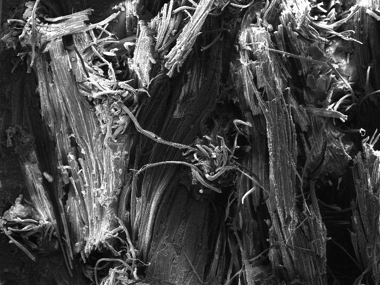 Scanning electron micrograph of a hemp/epoxy fracture surface at 100 times, with resin-coated fibres in a dense fracture zone